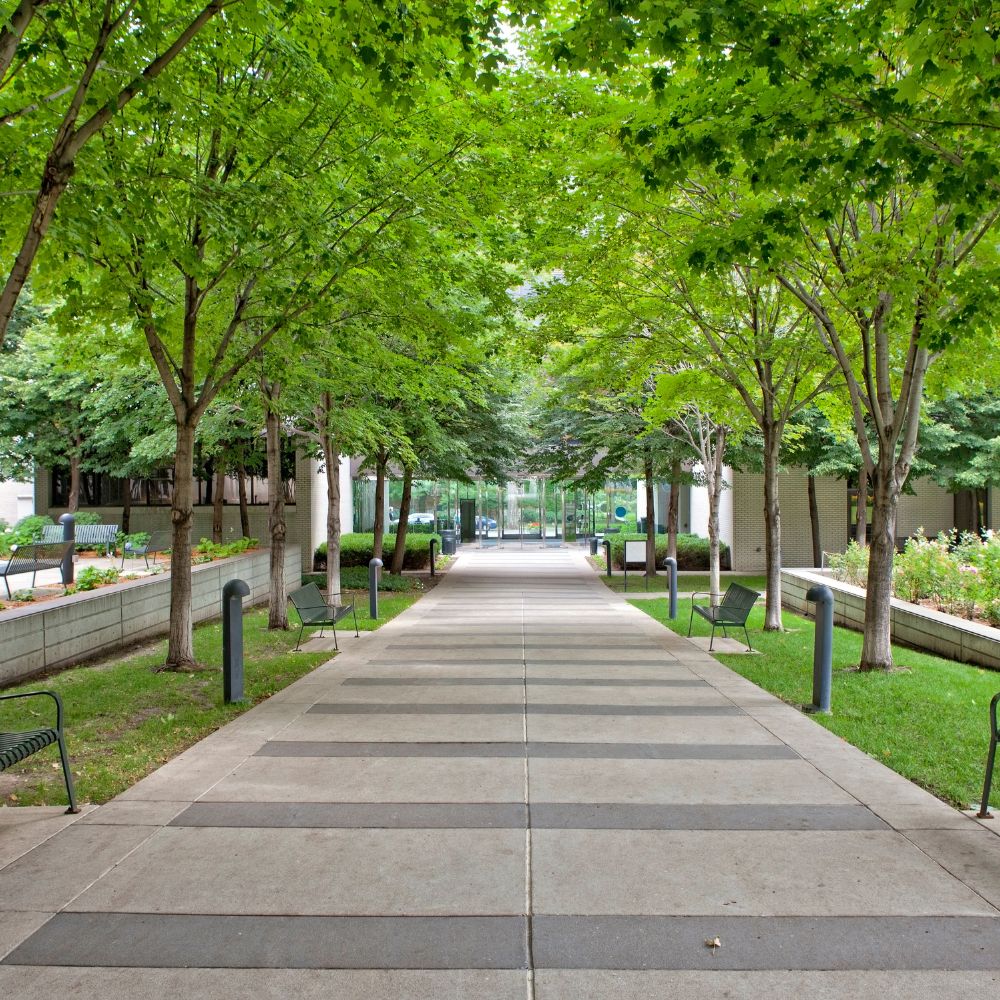 Sidewalks & Walkways Valencia CA Sidewalks & Walkways Valencia CA